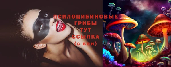 спайс Аркадак