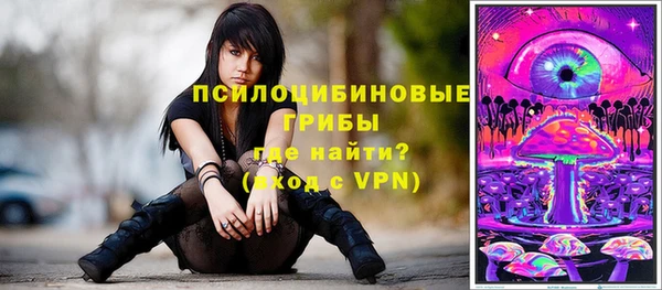 спайс Аркадак